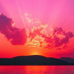 Meet your Posher, Jenny lea